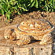 Garden figurine Turtle in the style of Provence concrete. Garden figures. Decor concrete Azov Garden. My Livemaster. Фото №5