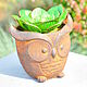 Order Concrete planter owl with artificial succulent. Decor concrete Azov Garden. Livemaster. . Vases Фото №3
