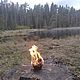 Травяная свеча - полянка "Сердце леса". Свеча-активатор. Травяные свечи Лисичья Мастерская. Ярмарка Мастеров.  Фото №5