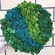 Order Picture of stabilized moss 30 cm. Антонина Литовкина - Озеленение (Планета Флористики). Livemaster. . Pictures Фото №3