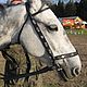 Bridle "Steppe" or "Cossack"with rein, Handmade. Bridles. Saddlery and blacksmith's yard. My Livemaster. Фото №5