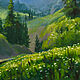 Mountain landscape with oil paints | Landscape with mountains. Pictures. pirogov-maxim. My Livemaster. Фото №6