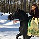 Вороной конь и Барби в роскошном платье, Мини фигурки и статуэтки, Москва,  Фото №1