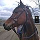 Bridle "Cossack officer" with rein, Horse tack, Handmade. Bridles. Saddlery and blacksmith's yard. My Livemaster. Фото №4