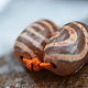 Honey Ji CHAKRA - TALISMAN OF DEVELOPMENT, Ji Spiral bead, Ji bead, Pereslavl-Zalesskij,  Фото №1