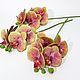 Винтаж: Villeroy & Boch орхидеи Artifical Flowers, Предметы интерьера винтажные, Франкфурт-на-Майне,  Фото №1