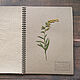 Herbarium album on a Garden spring (15 kraft sheets). Photo albums. Albums and notebooks (Anna). My Livemaster. Фото №4