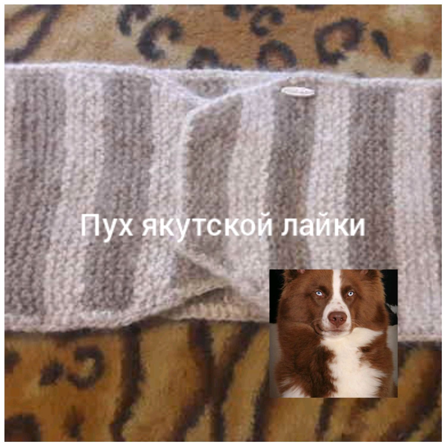 Belt 01 of dog down, Belt, Kursk,  Фото №1