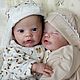 Реборн Primrose, Куклы Reborn, Иваново,  Фото №1