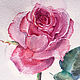 Order Watercolor. Watercolor miniature. Flowers. Rose. ArtShipilina. Livemaster. . Pictures Фото №3