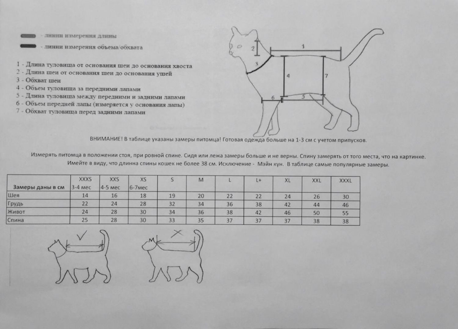 Мерки кошек. Выкройки одежды для кошек. Лекала одежды для сфинксов. Размер одежды для сфинкса. Лекало одежды для кошек.