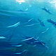 Картина Дельфины, Подводный Мир, Морской Пейзаж Волна, холст масло. Картины. Вкусные Картины. Ярмарка Мастеров.  Фото №6