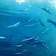 Copy of Copy of Copy of Copy of Copy of Copy of Midday Express. Pictures. Walperion Paintings. My Livemaster. Фото №6
