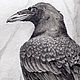 Заказать Картина Ворон. Дарья (darya-chronicle). Ярмарка Мастеров. . Картины Фото №3