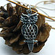 Pendant 'Owl' silver, bronze with gilding. Pendants. Urbanstyle. Online shopping on My Livemaster.  Фото №2