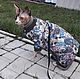 Order Cat clothes ' warm Jumpsuit-Paisley pattern'. Happy-sphynx. Livemaster. . Pet clothes Фото №3