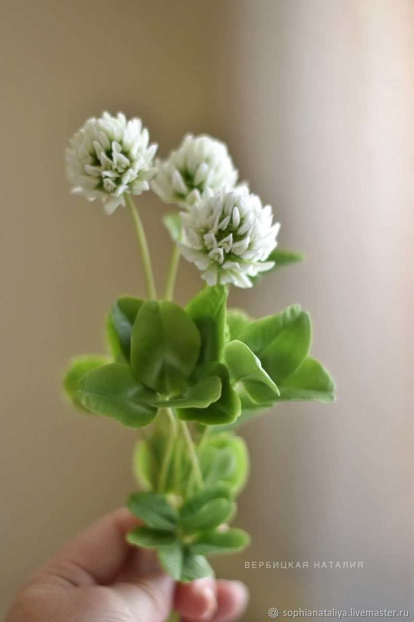 ❤️БРОШЬ- КЛЕВЕР ИЗ ЗАПЕКАЕМОЙ ПОЛИМЕРНОЙ ГЛИНЫ ❤️BROOCH-CLOVER MADE OF BAKED POLYMER CLAY