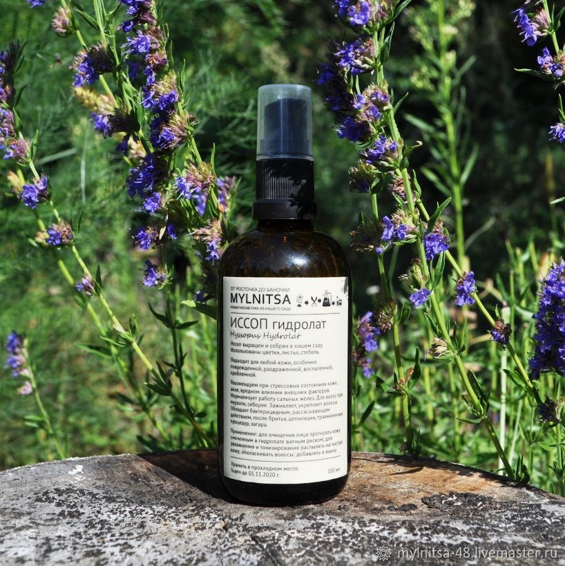 Hyssop Wild Raspberries 2019 Oily Hair Roots Acne Inflammation