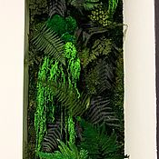 Картины и панно handmade. Livemaster - original item Fotokartin of stabilized moss and plants. Handmade.