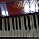 Винтаж: Пианино антикварное Bluthner-Германия, Предметы интерьера винтажные, Софрино,  Фото №1