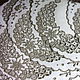 Set of vintage doilies ' Tea'. Vintage interior. Vintage lace and textiles. Online shopping on My Livemaster.  Фото №2