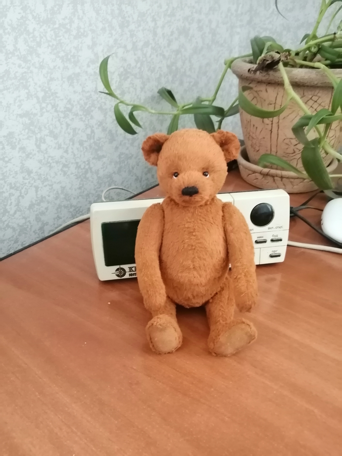 Мишки тедди