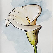 Картины и панно handmade. Livemaster - original item Watercolor drawing of White Calla. Handmade.