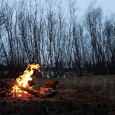 У партизанского костра — военное фото