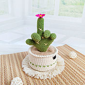 Сувениры и подарки handmade. Livemaster - original item Gift-joke Hand-cactus, table toy. Handmade.