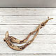 Дрифтвуд driftwood коряжки 2 шт, Природные материалы, Анапа,  Фото №1
