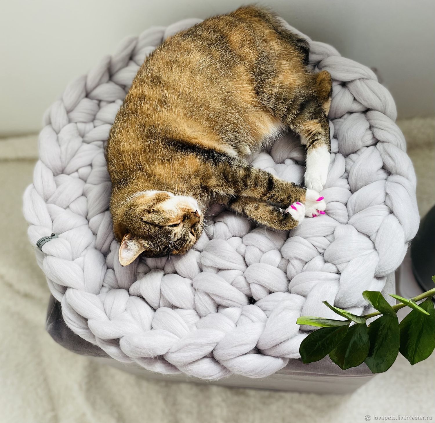 Лежаки для кошек купить в интернет-магазине Филя с доставкой в день заказа в Санкт-Петербурге