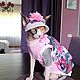 Order Cat clothes 'Hat for the Sphinx'. Happy-sphynx. Livemaster. . Pet clothes Фото №3