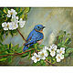 Oil painting bird sialiya 'Songbird', Pictures, Belorechensk,  Фото №1