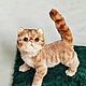 Котенок. Мягкие игрушки. Инна Вишевская. Интернет-магазин Ярмарка Мастеров.  Фото №2