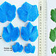 Order Set of viners and cutters 'Grape leaves'. Mozza-Flowers. Livemaster. . Molds for making flowers Фото №3