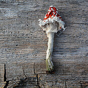Украшения handmade. Livemaster - original item Textile brooch-mushroom Toadstool - Fly Agaric. Handmade.