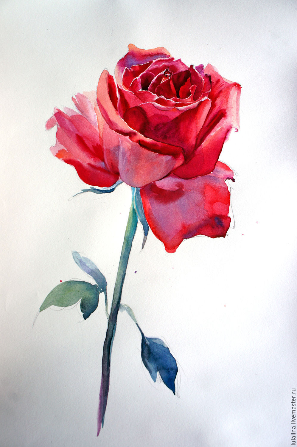 Красные розы рисунок акварелью