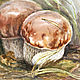 Watercolor painting "Porcini mushrooms", framed. Pictures. Artist Iuliia Kravchenko (realism-painting). Online shopping on My Livemaster.  Фото №2