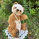 Тедди панда Миша, 32 см. Мишки Тедди. Totoshka Teddy. Ярмарка Мастеров.  Фото №5
