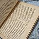 Винтаж: Книга детские болезни старинная. Книги винтажные. Antikvarbuk. Ярмарка Мастеров.  Фото №6