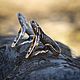 Order Ring Lizard. Lizard Ring. The Lizard ring. bronze silver. Mastenarium (mastenarium). Livemaster. . Rings Фото №3