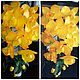 Интерьерная орхидея, Цветы, Новосибирск,  Фото №1