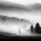  Foggy Valley, натуральные, унисекс, 10 мл, Духи, Нижние Серги,  Фото №1