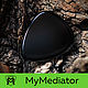 The mediator of obsidian: Black Blood, Guitar picks, Zhukovsky,  Фото №1