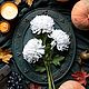 Заказать Хризантемы из холодного фарфора. Букет хризантем. Fiore Spell. Ярмарка Мастеров. . Композиции Фото №3