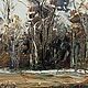  Весна скоро пейзаж маслом на холсте, 28х45. Картины. Картины настроения Василия Черных (kartiny-nastroeniya-vasiliya-chernyh). Ярмарка Мастеров.  Фото №7