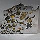 Метеорит Сеймчан коллекционный экземпляр подарок из космоса. Камни. MeteoriteArt. Ярмарка Мастеров.  Фото №5