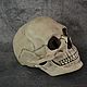 Заказать Маска Череп Человека с подвижной челюстью с покрасом. Memento Mori (mementomoriars). Ярмарка Мастеров. . Украшения субкультур Фото №3