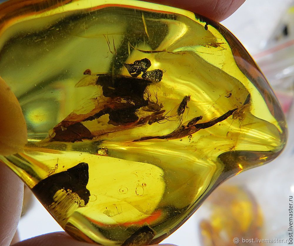 день янтарного