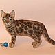 Order Bengal cat. Anna Petinati- Live toys handmade. Livemaster. . Stuffed Toys Фото №3